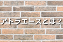 アトラエースとは？製品の特徴や選び方についても解説！