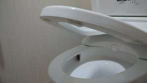 toilet_seat2