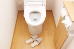 toilet_seat3
